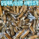 가리맛조개 내일을 위해 구매